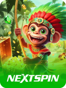 NextSpin S